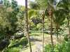 Four Seasons Resort Bali at Sayan 